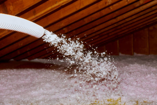 Best Insulation Maintenance and Repair in , LA