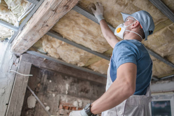 Best Blown-in Insulation in , LA