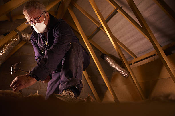 Best Insulation for Specific Applications in , LA